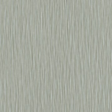 207004-1