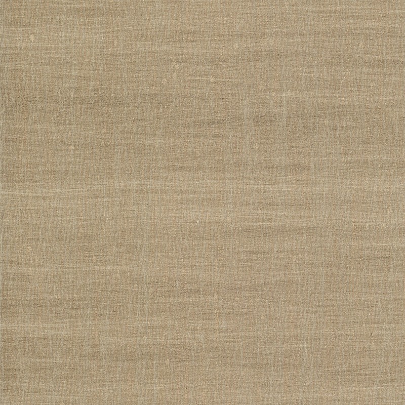 ZA19-11-1